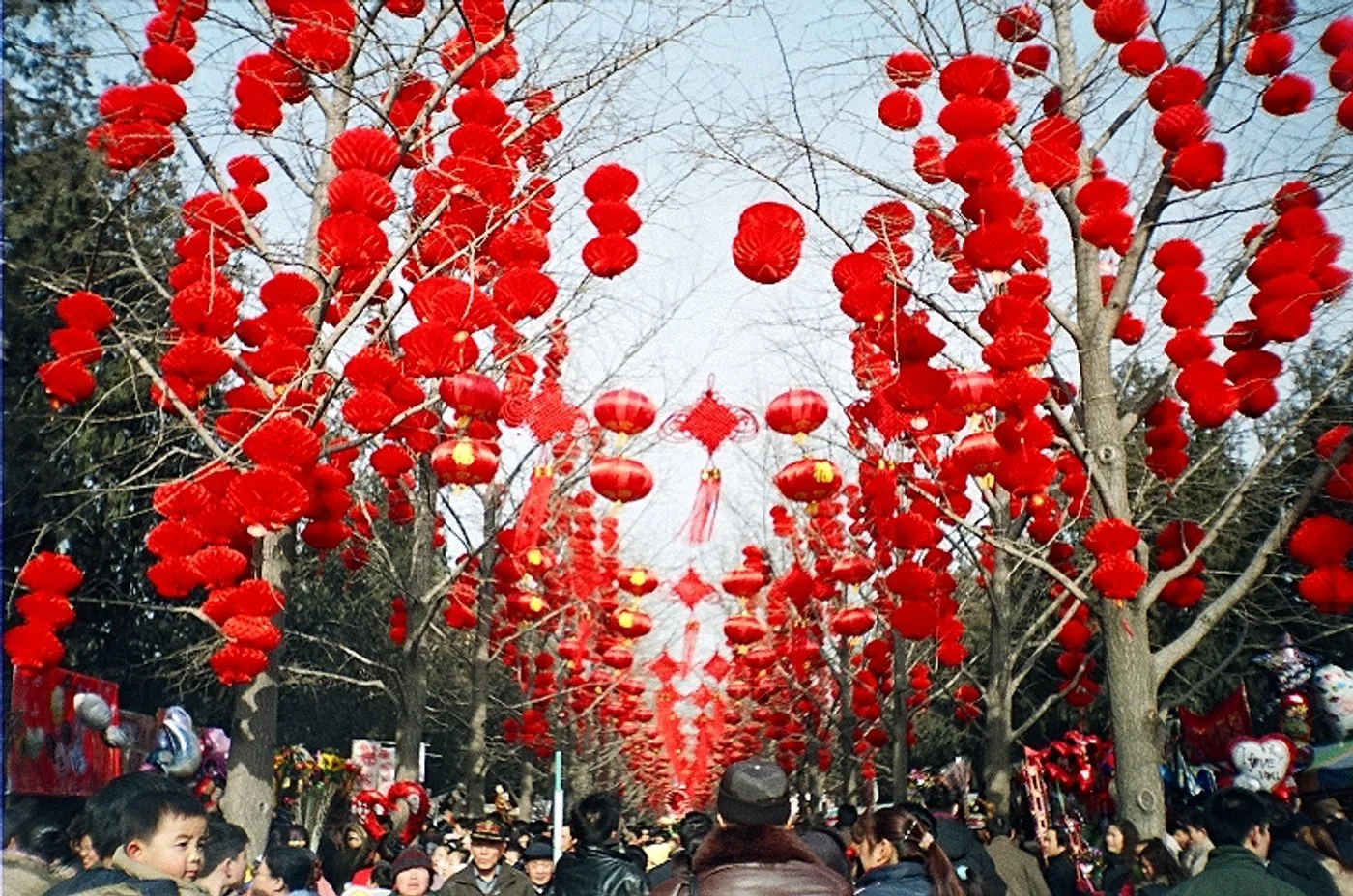 Red lanterns strung across Ditan Park in Beijing for Chinese New Year