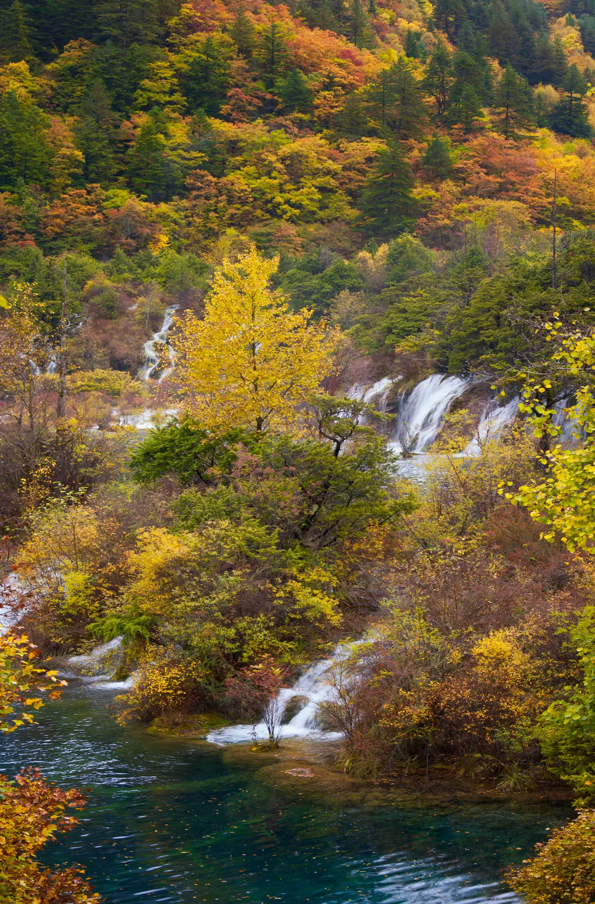 Golden autumn colors at Jiuzhaigou Valley in October